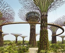 Duurzame ruimtelijke ontwikkeling in Singapore